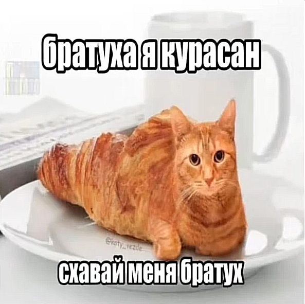 Публикация Sunny